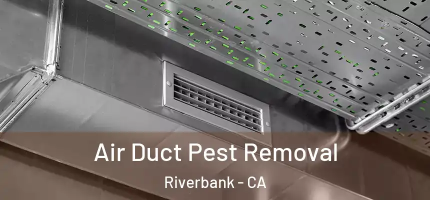  Air Duct Pest Removal Riverbank - CA