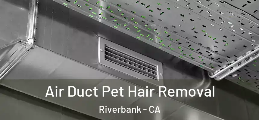  Air Duct Pet Hair Removal Riverbank - CA