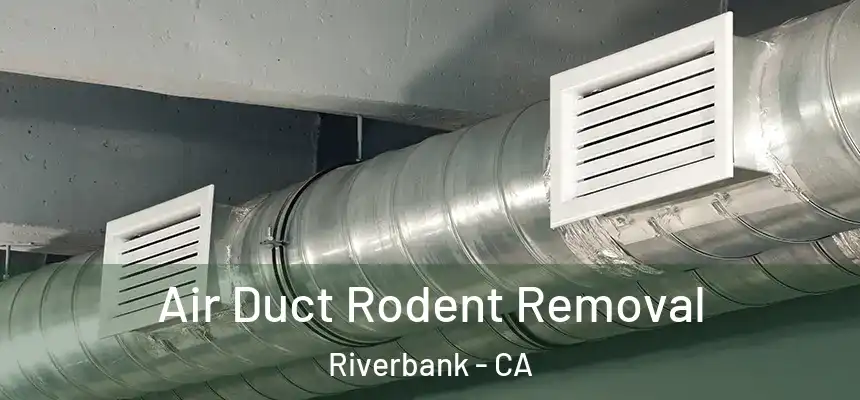  Air Duct Rodent Removal Riverbank - CA