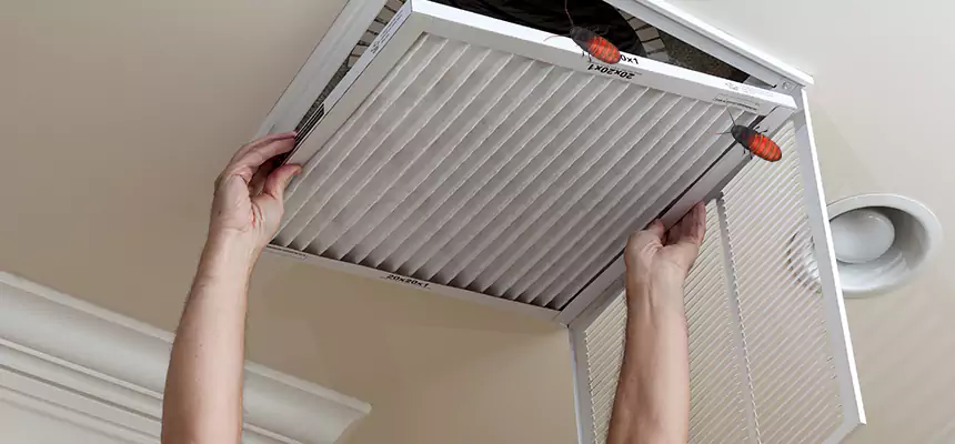 Preventive Cockroach-Proofing for Ducts in Riverbank