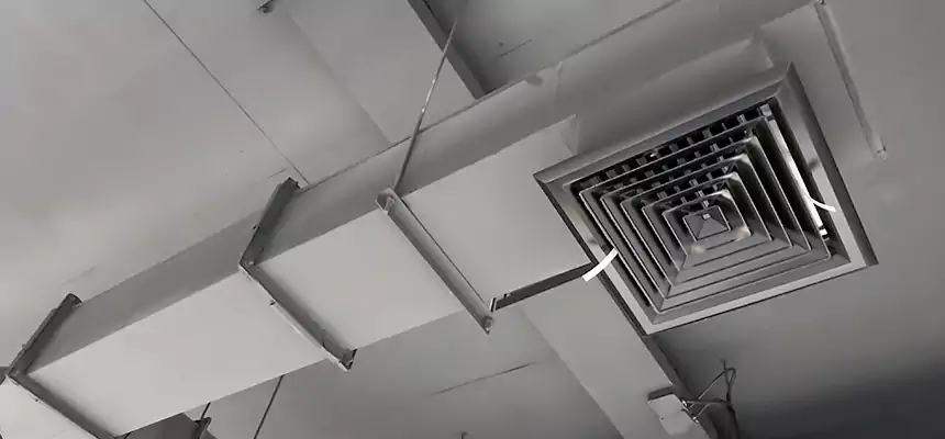 Our Rodent Droppings In Vents Services in Riverbank, CA