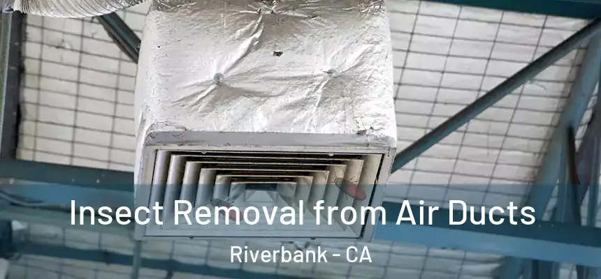  Insect Removal from Air Ducts Riverbank - CA